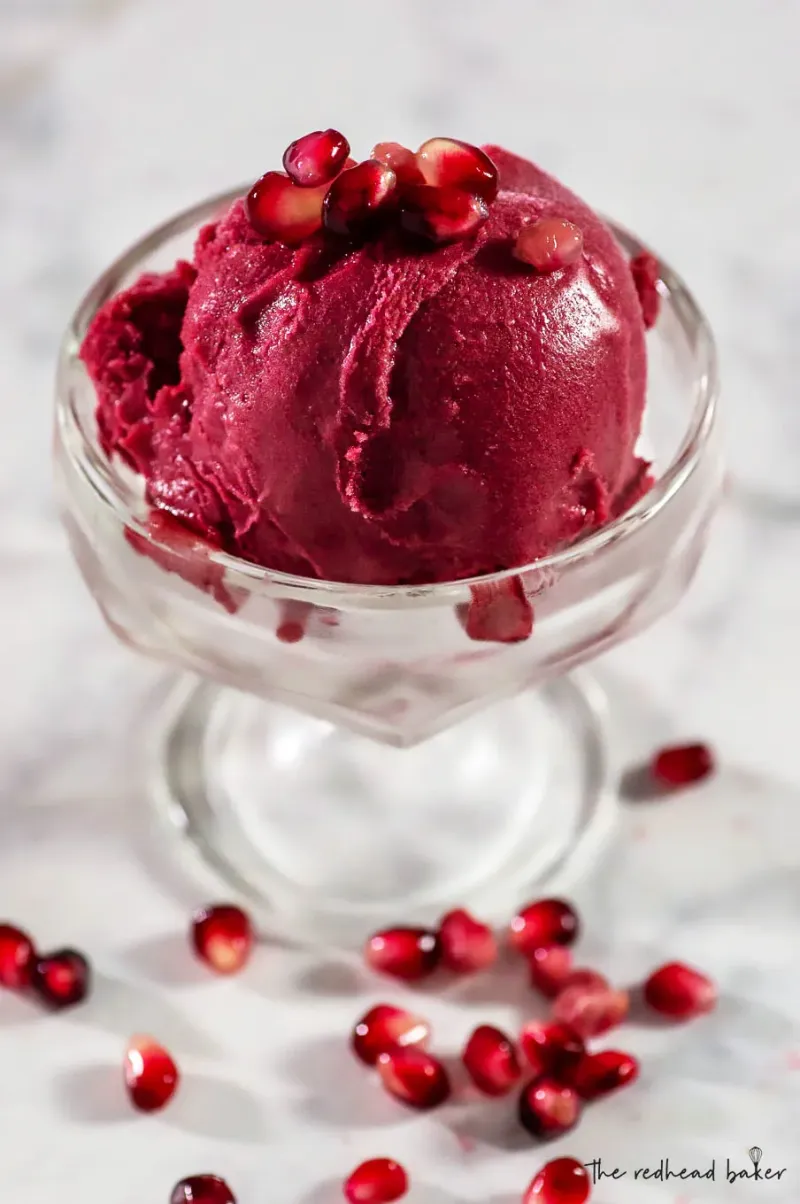 Pomegranate Sorbet