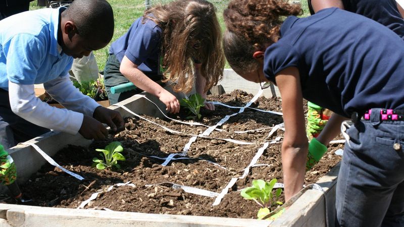 Practice Sustainable Gardening