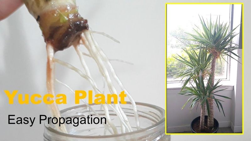 Propagation Methods