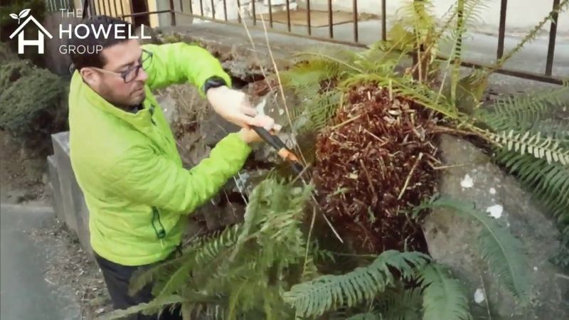 Pruning Practices