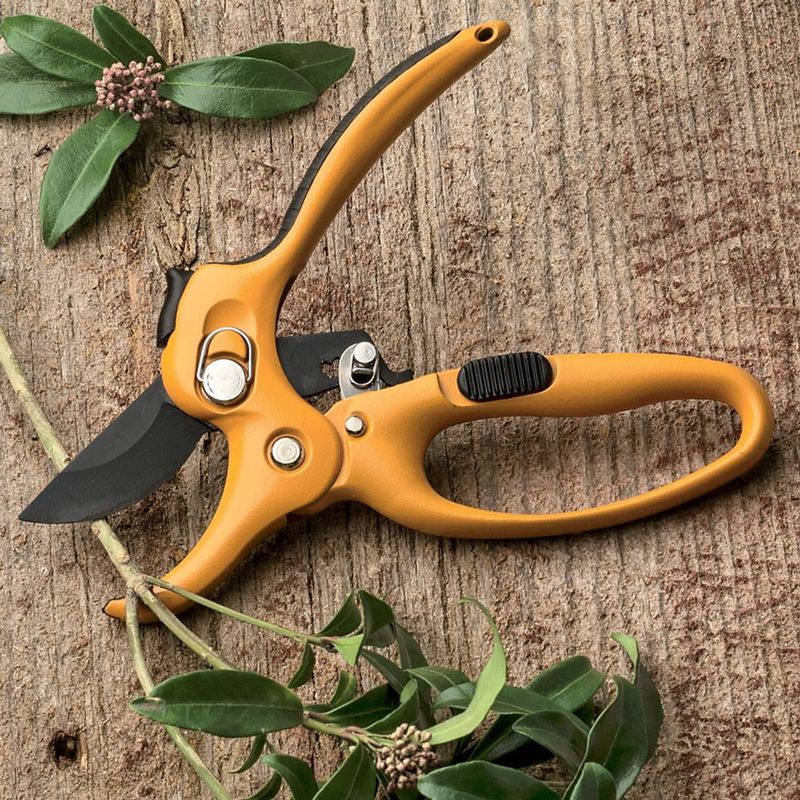 Pruning Shears