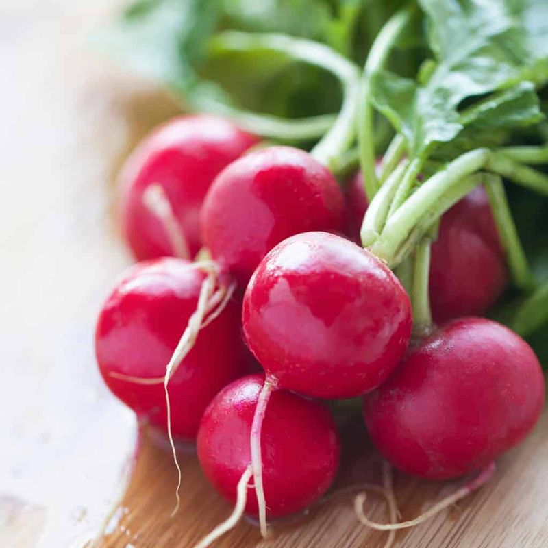 Radishes