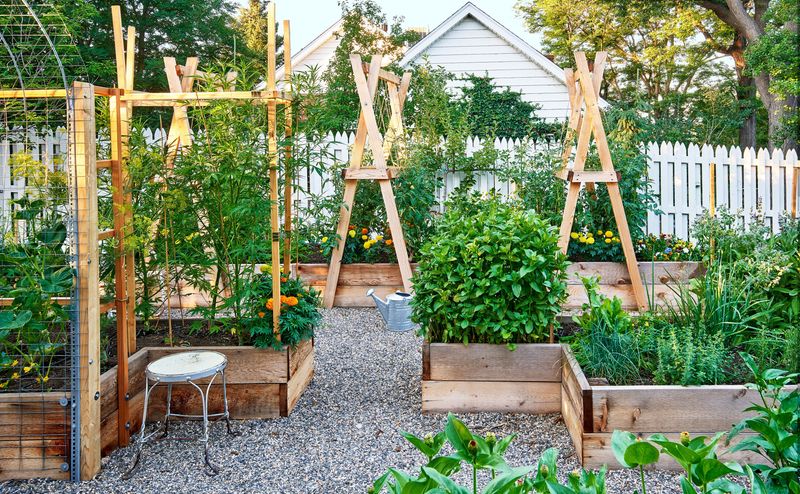 Raised Bed Gardening