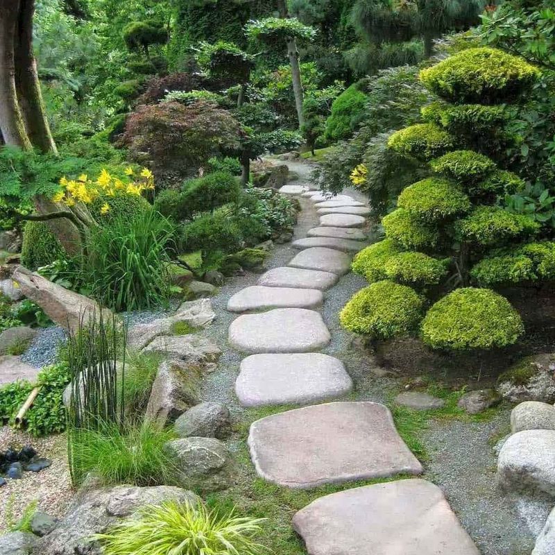 Rock Pathways