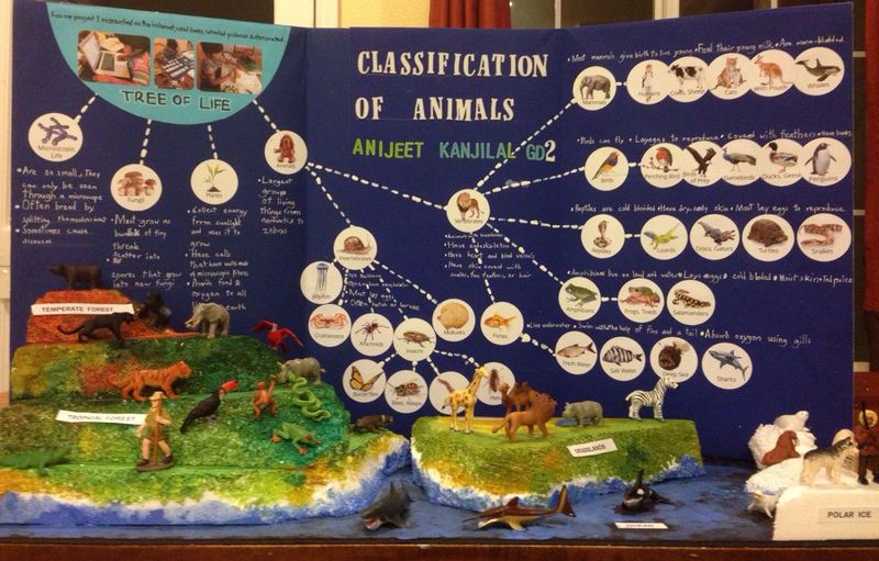 Science Fair Projects with Live Animals