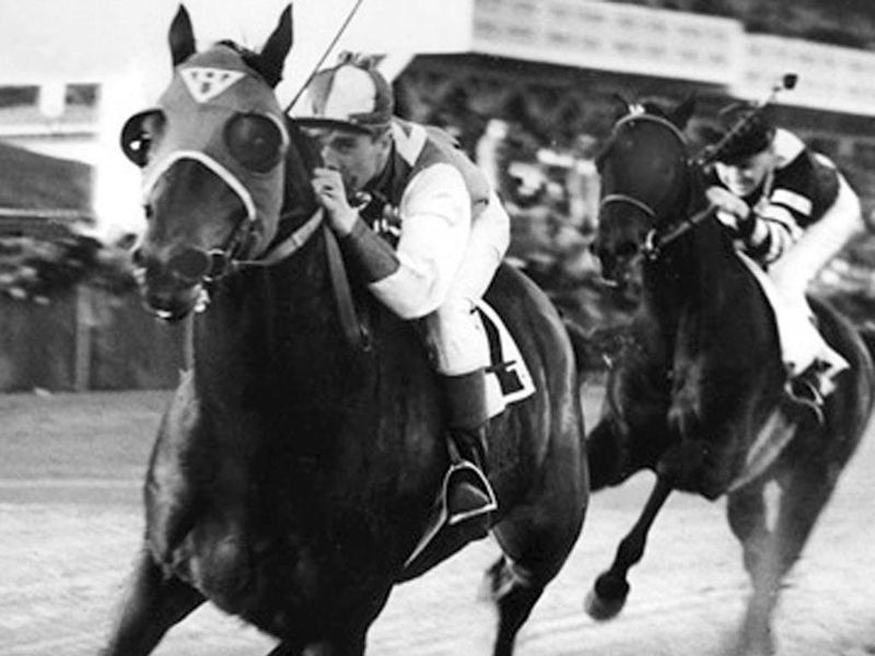 Seabiscuit's Victory