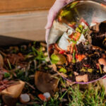 Secrets to Turning Kitchen Scraps into Rich Garden Soil