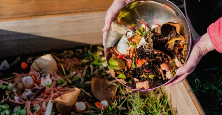 Secrets to Turning Kitchen Scraps into Rich Garden Soil