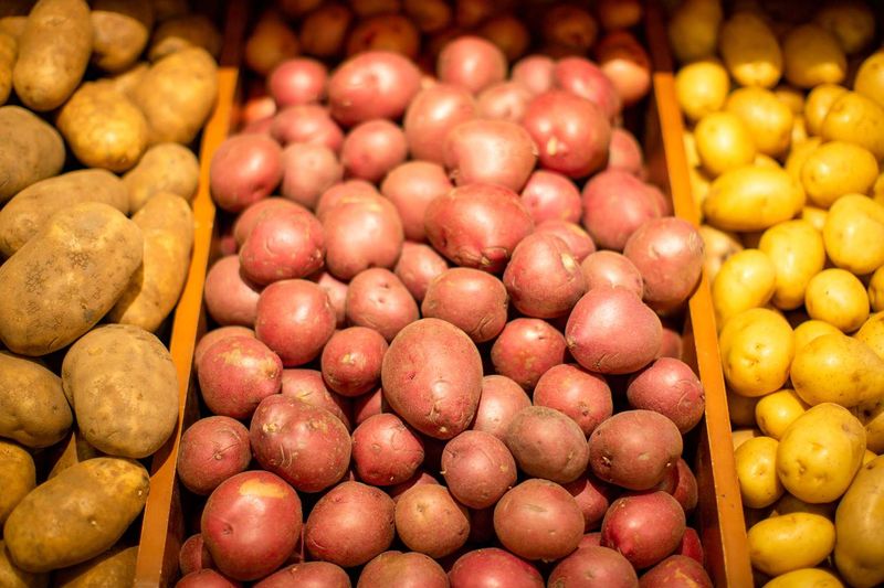 Selecting the Right Potato