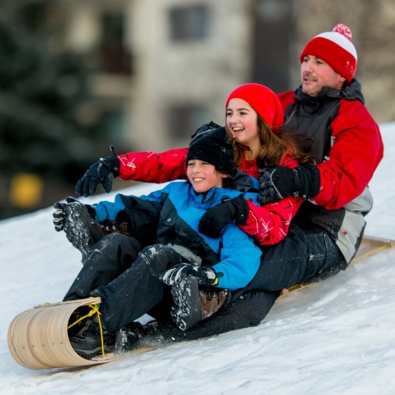 Sledding Adventure