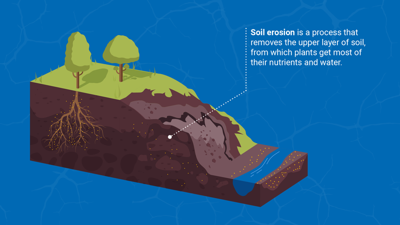 Soil Erosion