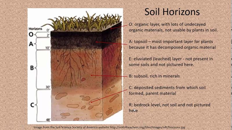 Soil Horizons