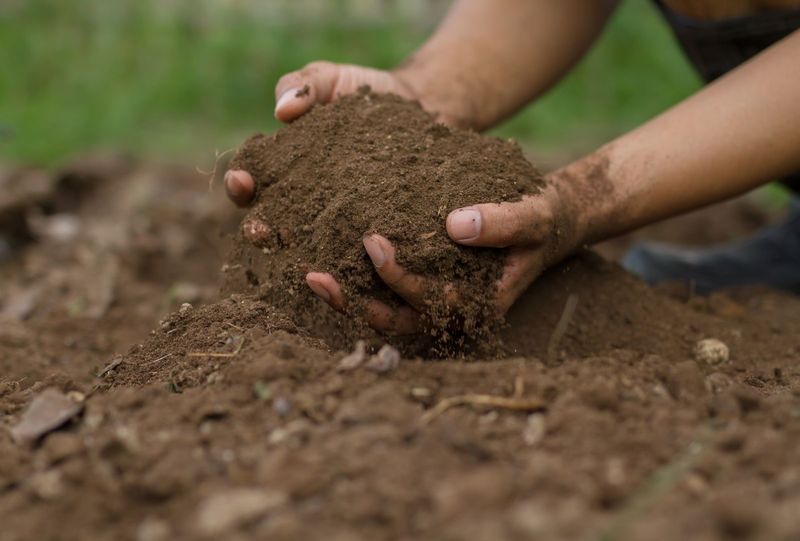 Soil as a Carbon Sink