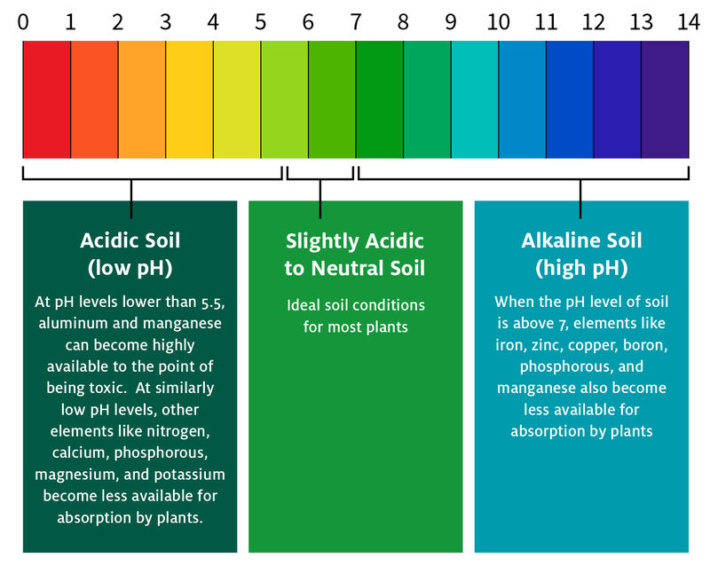 Soil pH Levels