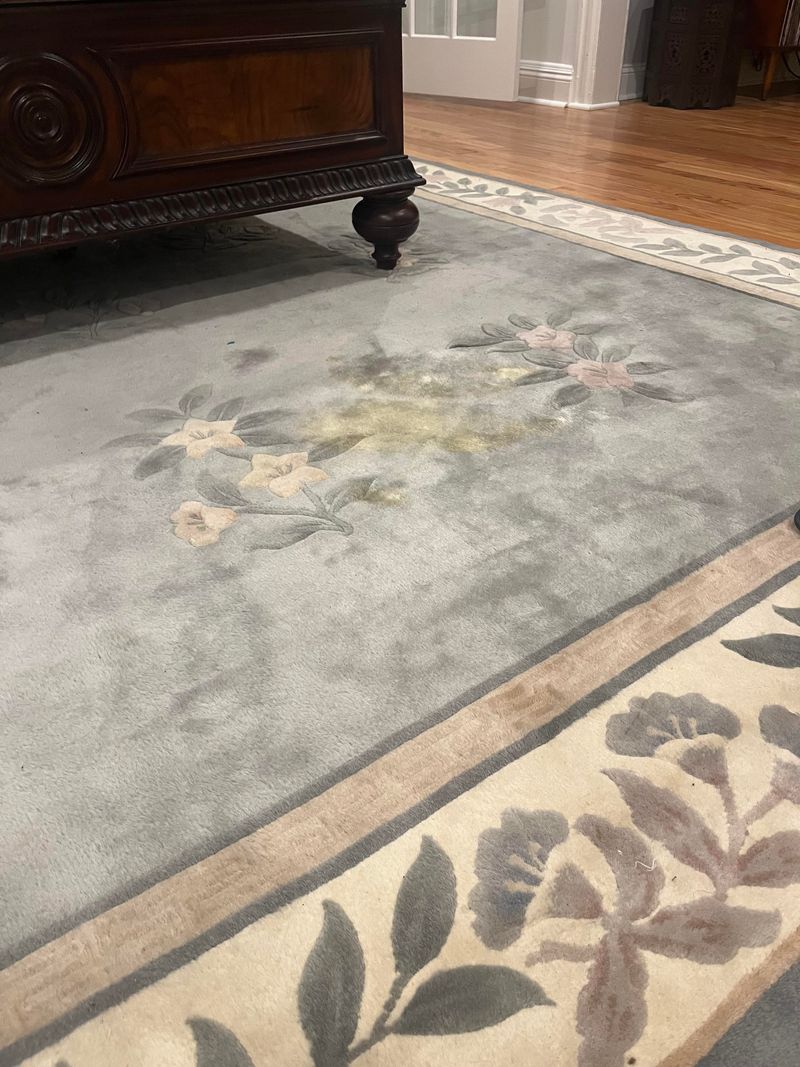 Stained Carpets