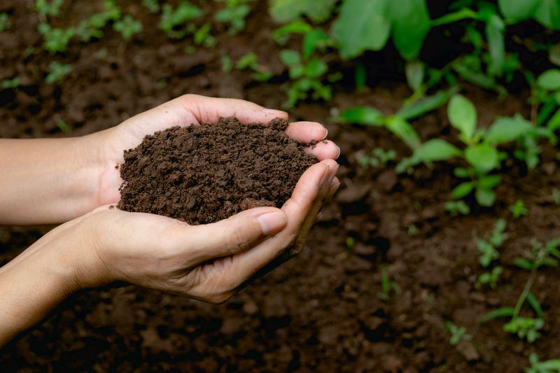 Start with Healthy Soil