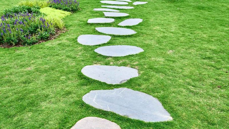 Stepping Stone Path