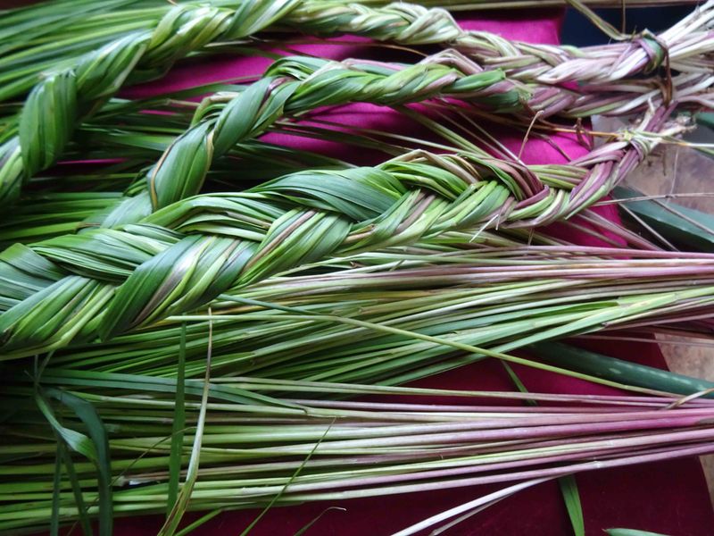 Sweetgrass