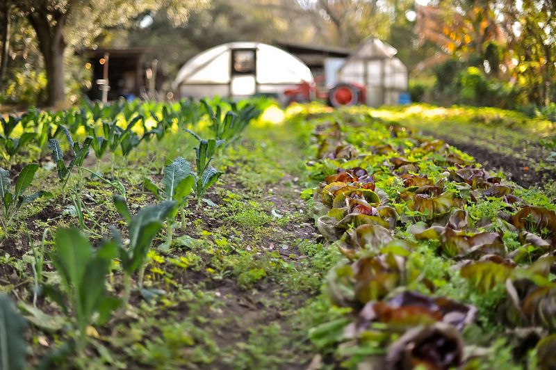 Sweetwater Organic Community Farm