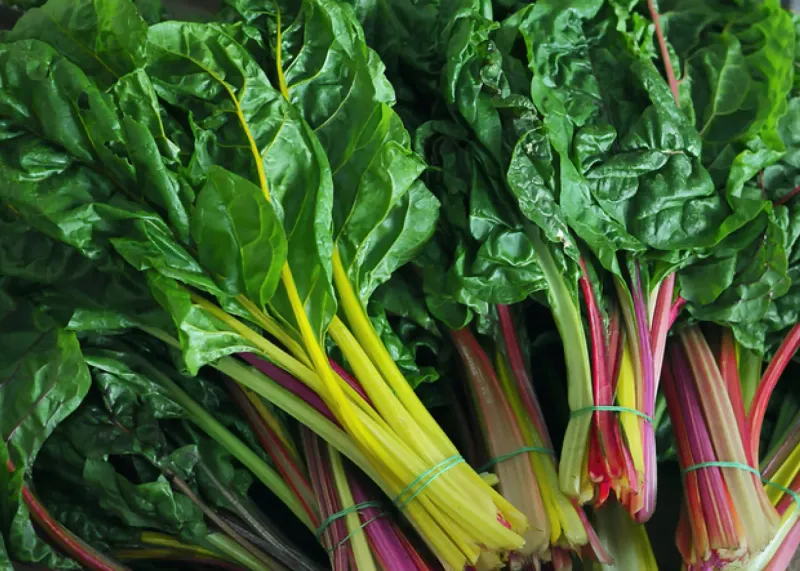 Swiss Chard