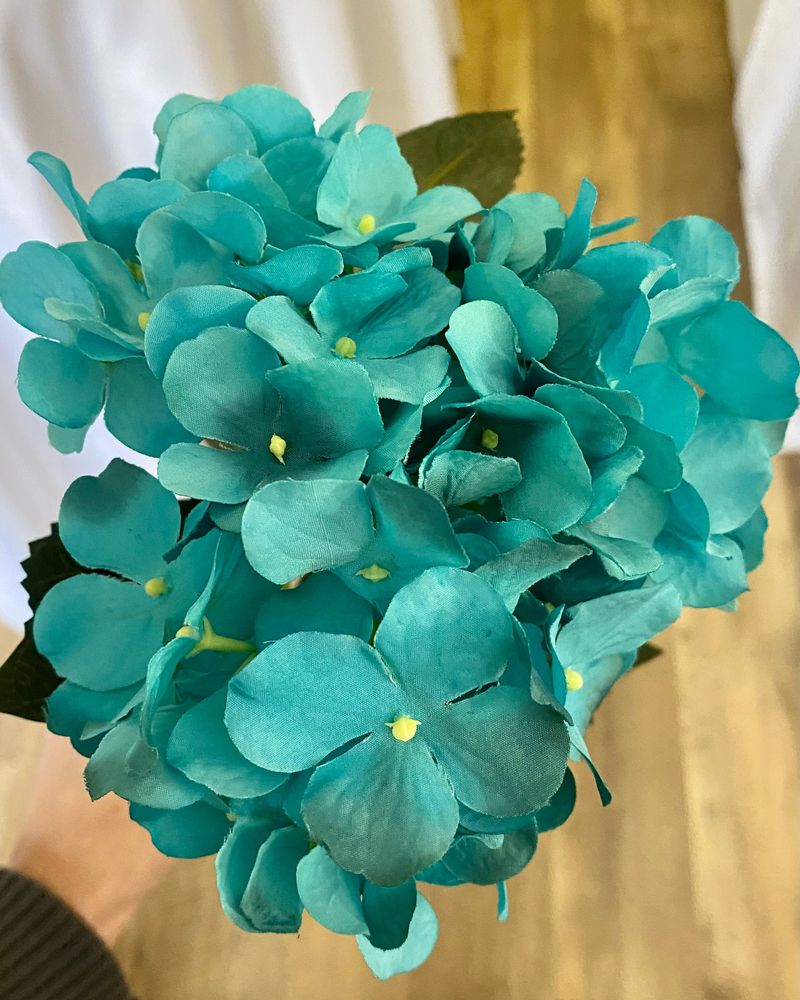 Teal Hydrangea