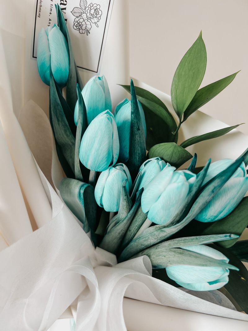 Teal Tulip