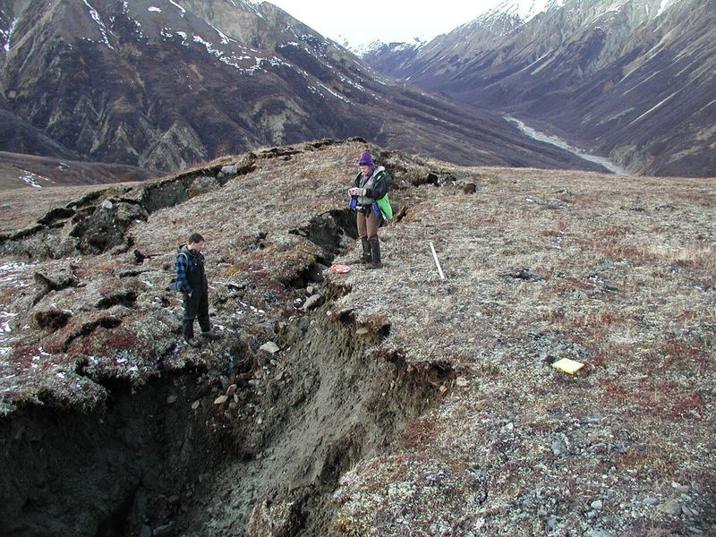 Tectonic Forces at Play