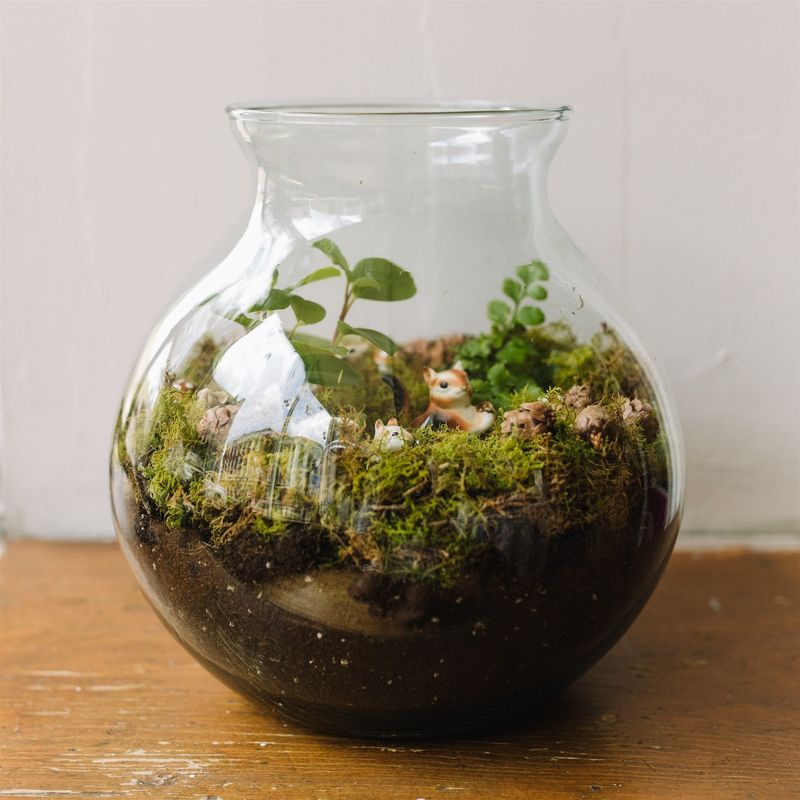 Terrariums