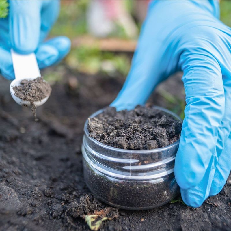 Testing and Amending Soil