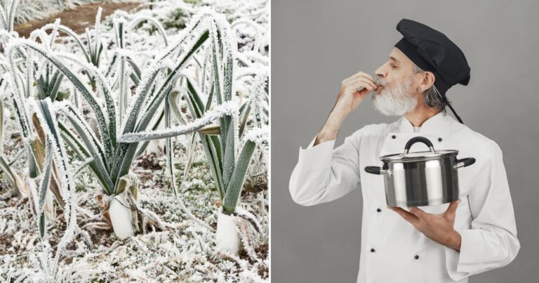 The Chef’s Winter Garden: 9 Must-Grow Plants for Culinary Excellence
