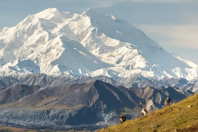 The Formation of Denali