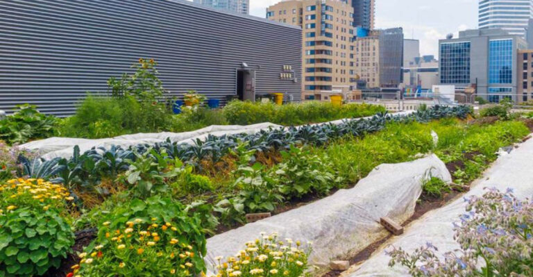 The Hidden World Beneath Our Feet: 10 Fascinating Facts about Soil
