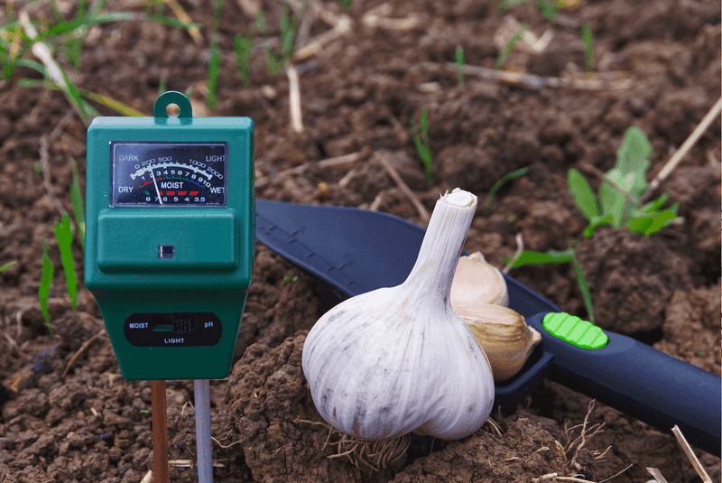 The Importance of Soil pH