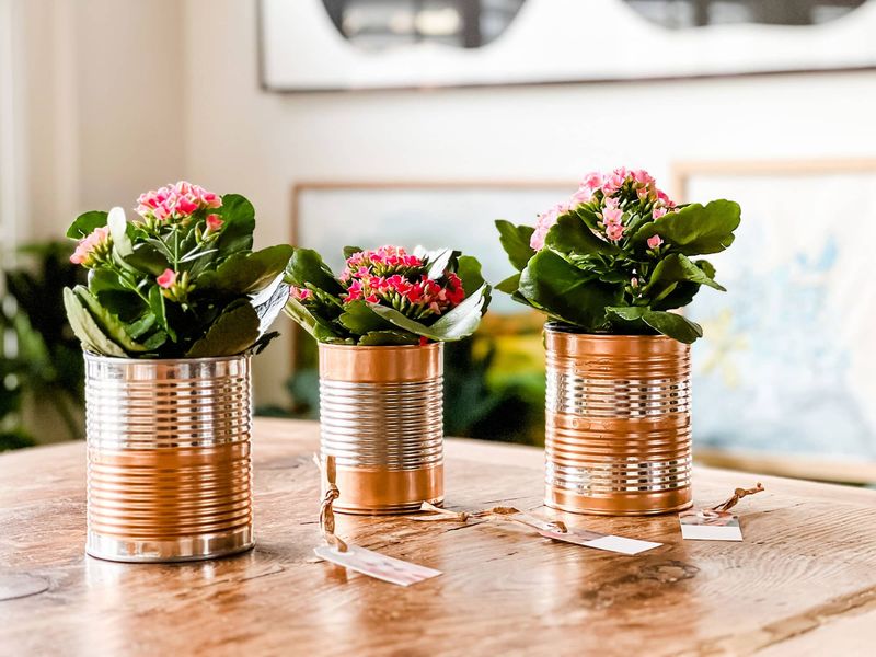 Tin Can Planters