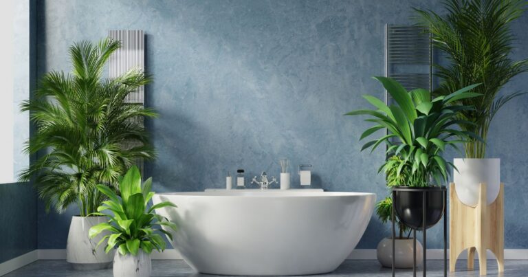 Top 5 Bathroom Plants for Fresh Air - Complete Gardening
