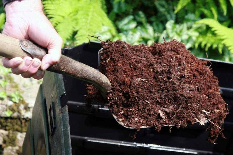 Troubleshooting Common Composting Issues