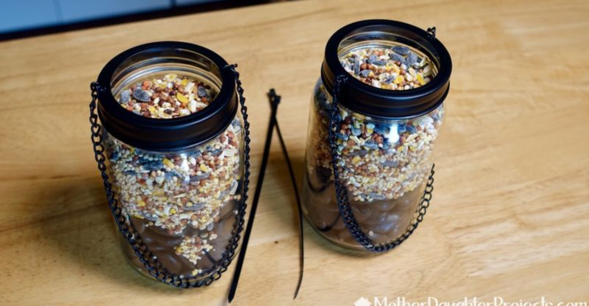 Turn a Mason Jar Into a Bird Feeder: The Easy DIY Project Anyone Can Try