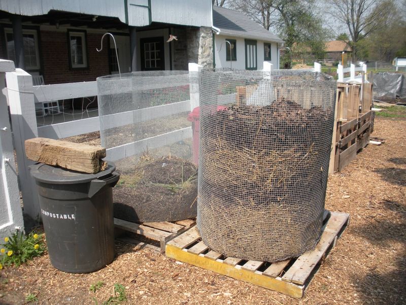 Understanding Compost Basics