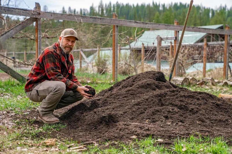 Understanding Composting Timeframes