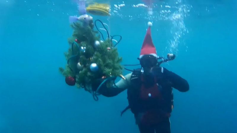 Underwater Tree Planting in Siberia