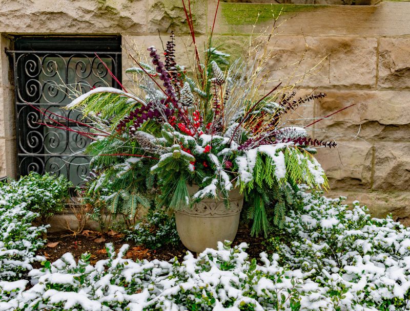 Use Frost-Resistant Containers