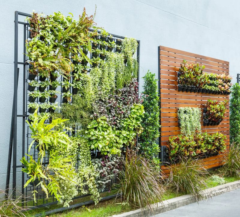 Use Vertical Gardening Techniques