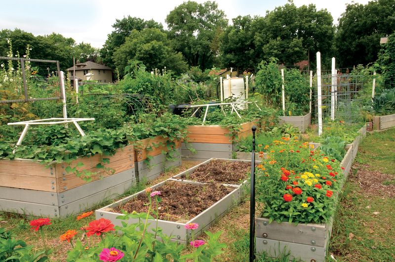 Using Compost in Your Garden