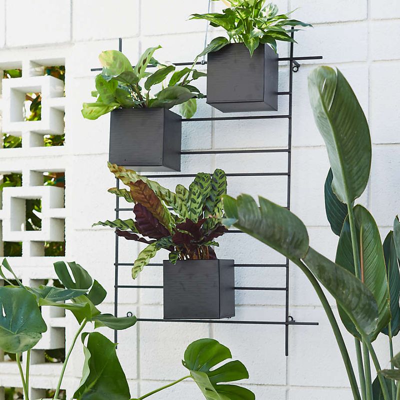 Wall-Mounted Planters