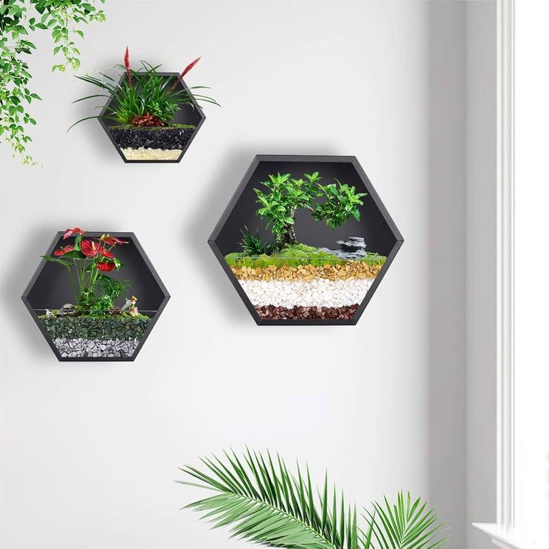 Wall-Mounted Terrariums