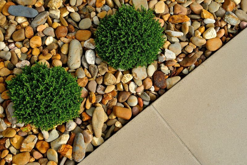 Warm Soil with Stones