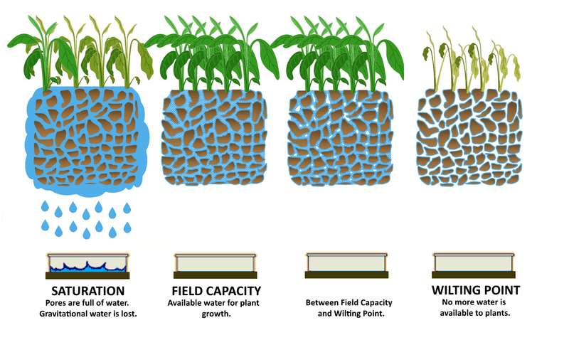 Water Content