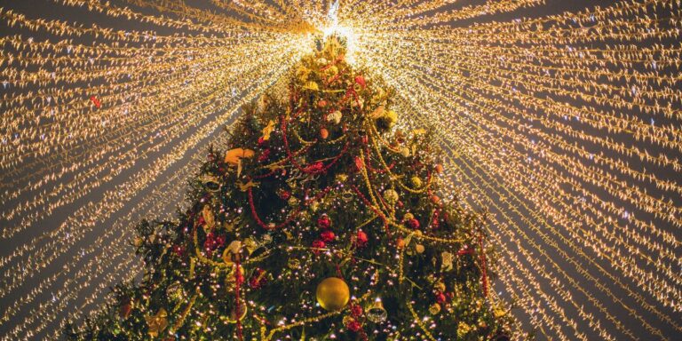 When is The Best Time to Decorate Your Christmas Tree, According to Our Readers?