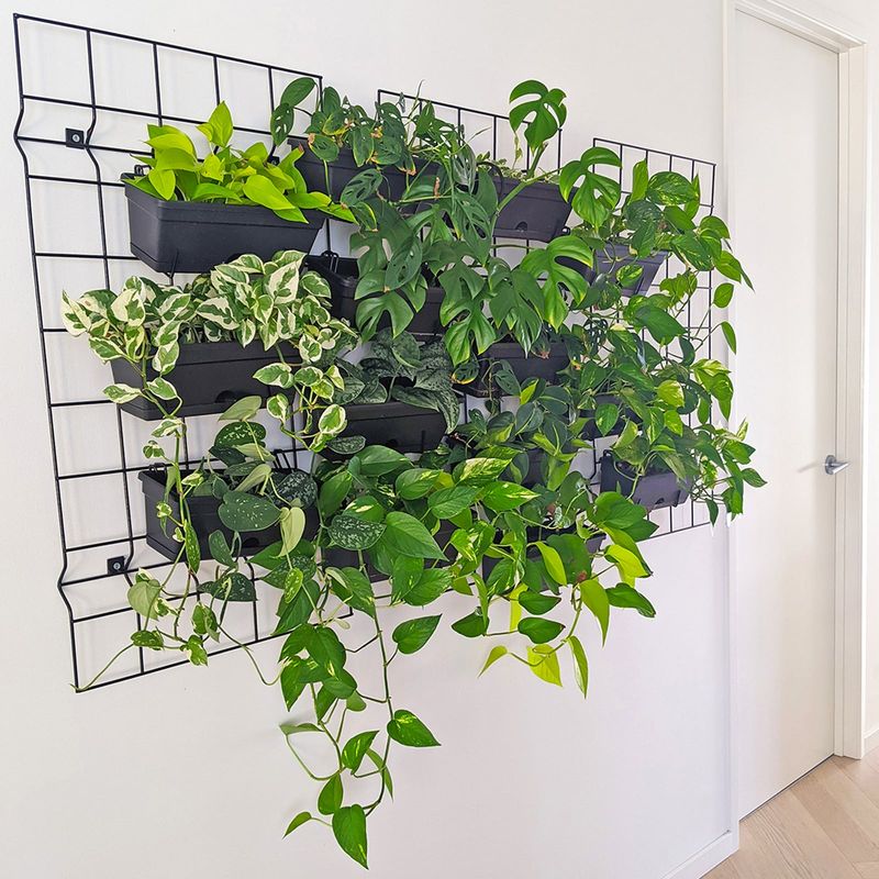 Wire Grid Plant Wall