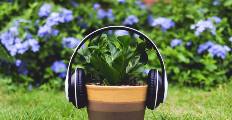 Essential Strategies for Cultivating a Bountiful and Successful Vegetable Garden